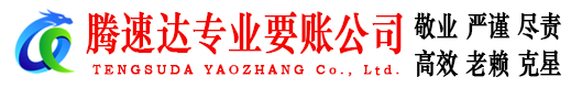 肥西要账公司